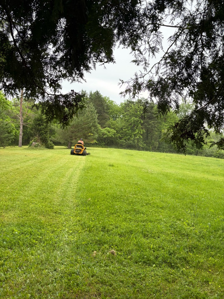 Weekly Mowing Mower on Hill